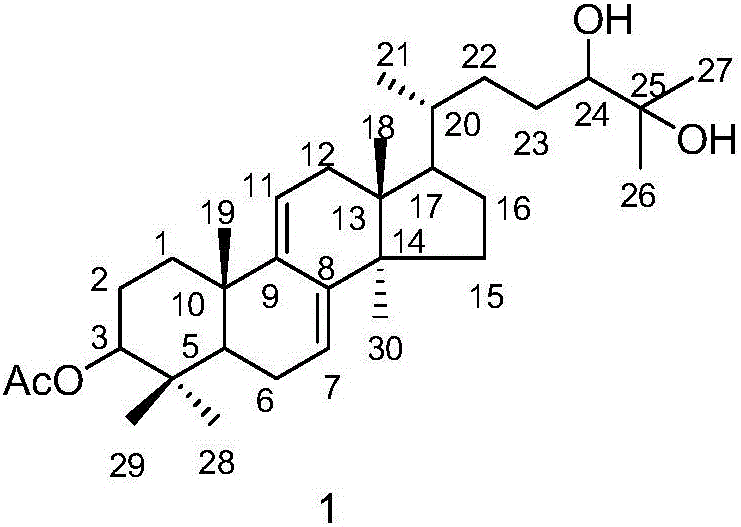 Triterpene compound, and preparation method and applications thereof