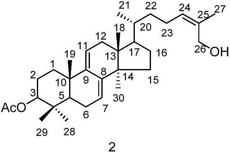 Triterpene compound, and preparation method and applications thereof