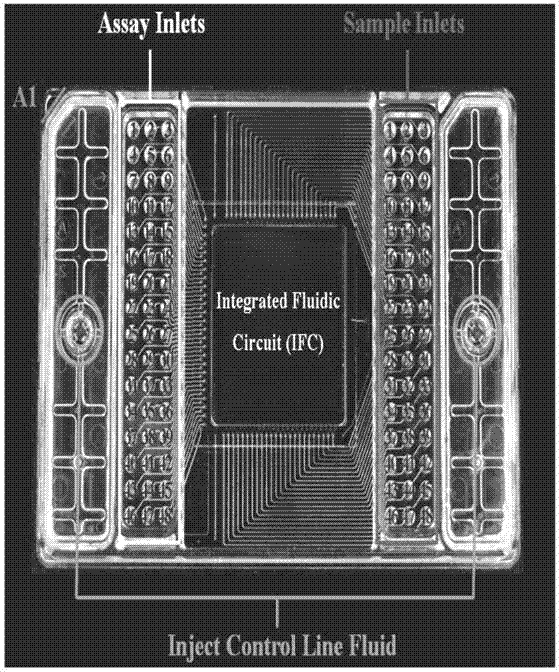 An integrated flow chip for identifying fruit fly species and its application