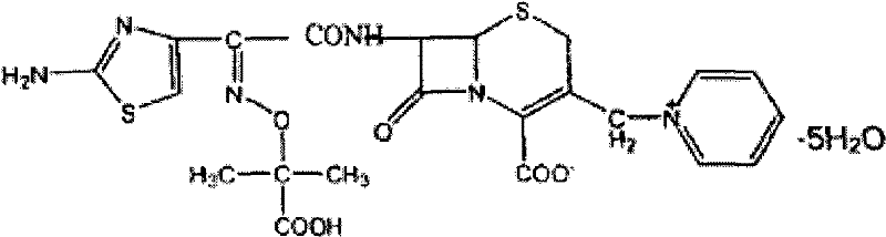 Ceftazidime medicinal composition for injection and preparation method thereof