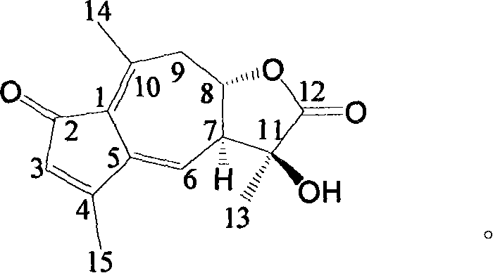 Sesquiterplactone in dandelion and its use of resisting Gram's positive bacteria