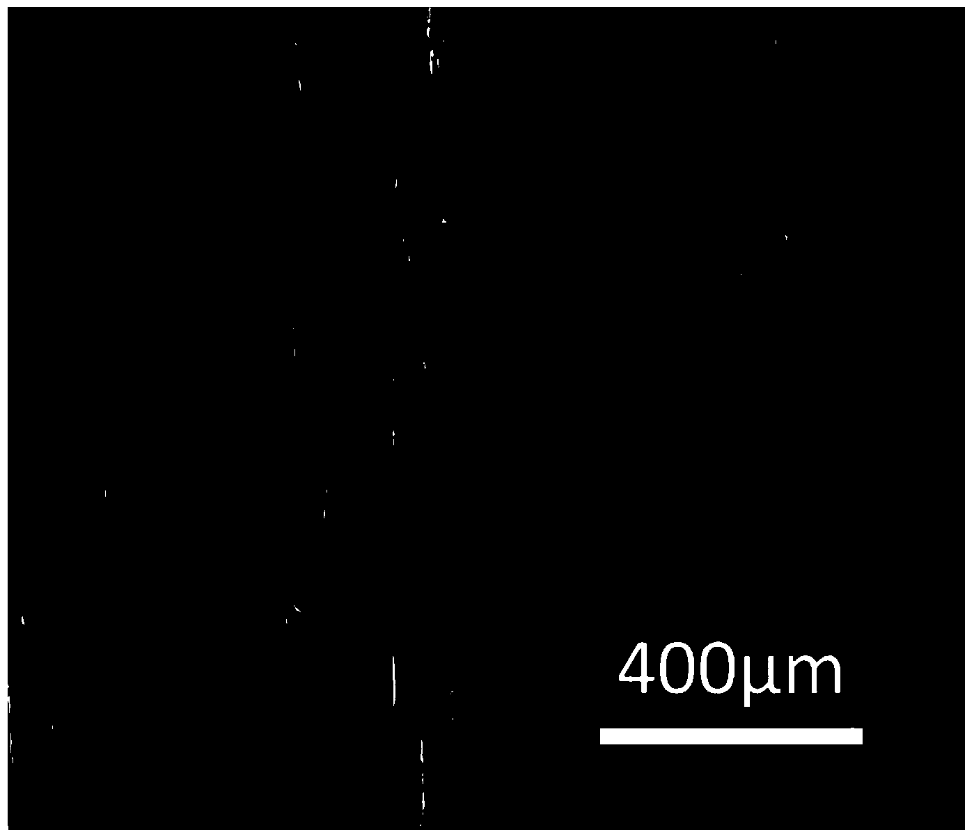 Method for improving mechanical stability of super-hydrophobic wood