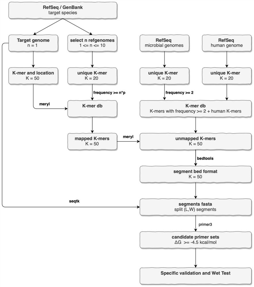 Optimal design method of pathogenic species specific PCR primers