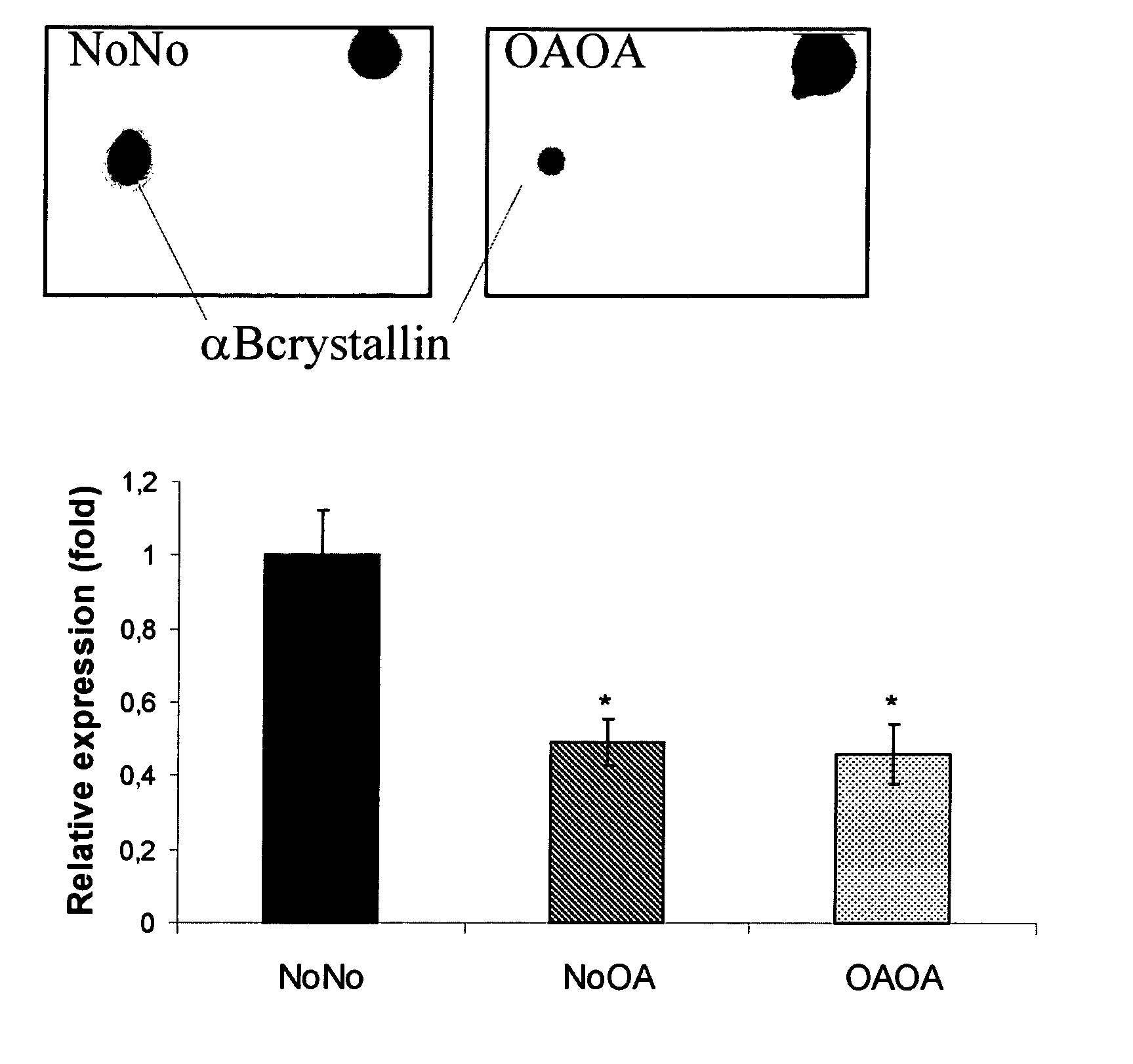 Markers of matrix gene expression and cellular differentiation in chondrocytes