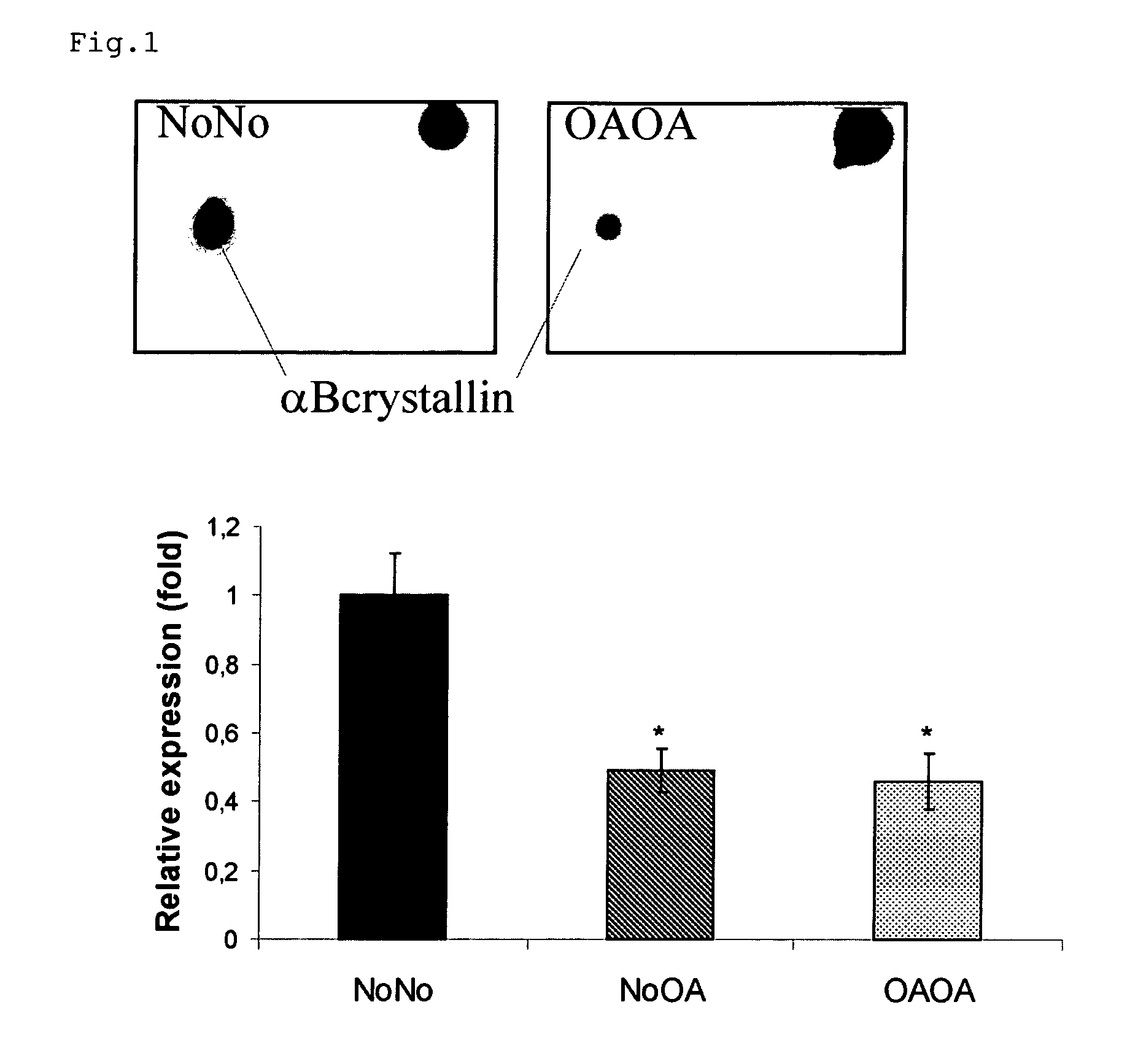 Markers of matrix gene expression and cellular differentiation in chondrocytes