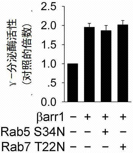 Application of the substance reducing the combination of β-arrestin 1 and aph-1 protein in the preparation of drugs for preventing and treating neurodegenerative diseases