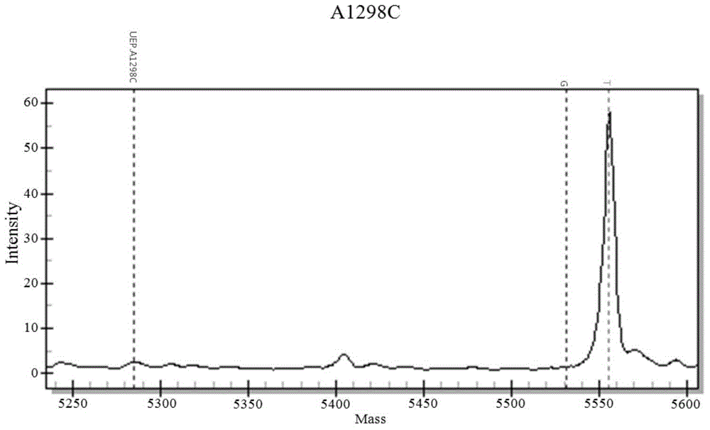 Folic acid heredity metabolism ability detection using mass spectrum