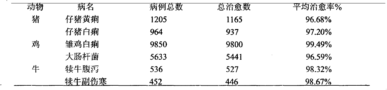 Injection for treating livestock bacterial dysentery and preparing method thereof