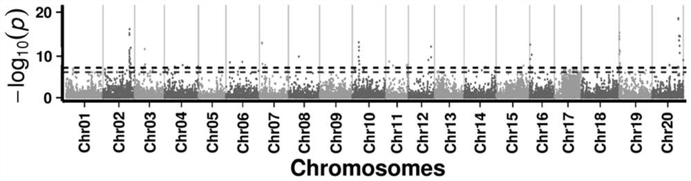 Molecular markers, intervals, primers and applications related to methionine content in soybean seeds