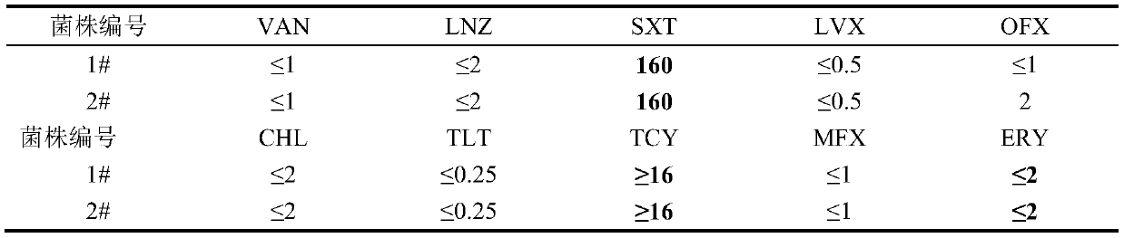 Application of chelerythrine in inhibiting growth of streptococcus pneumonia