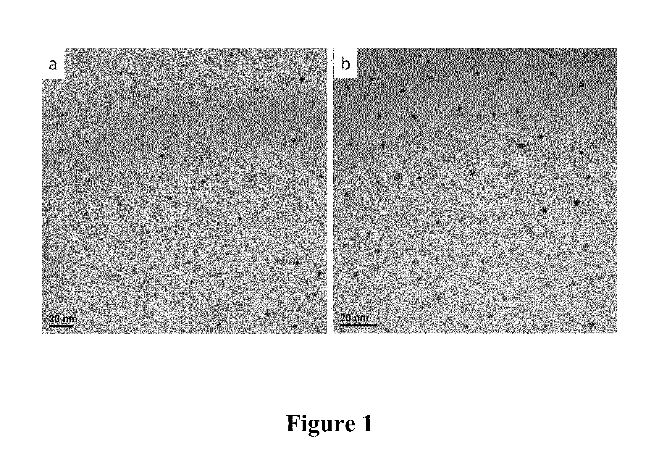 Multifunctional nanoconjugates and uses thereof