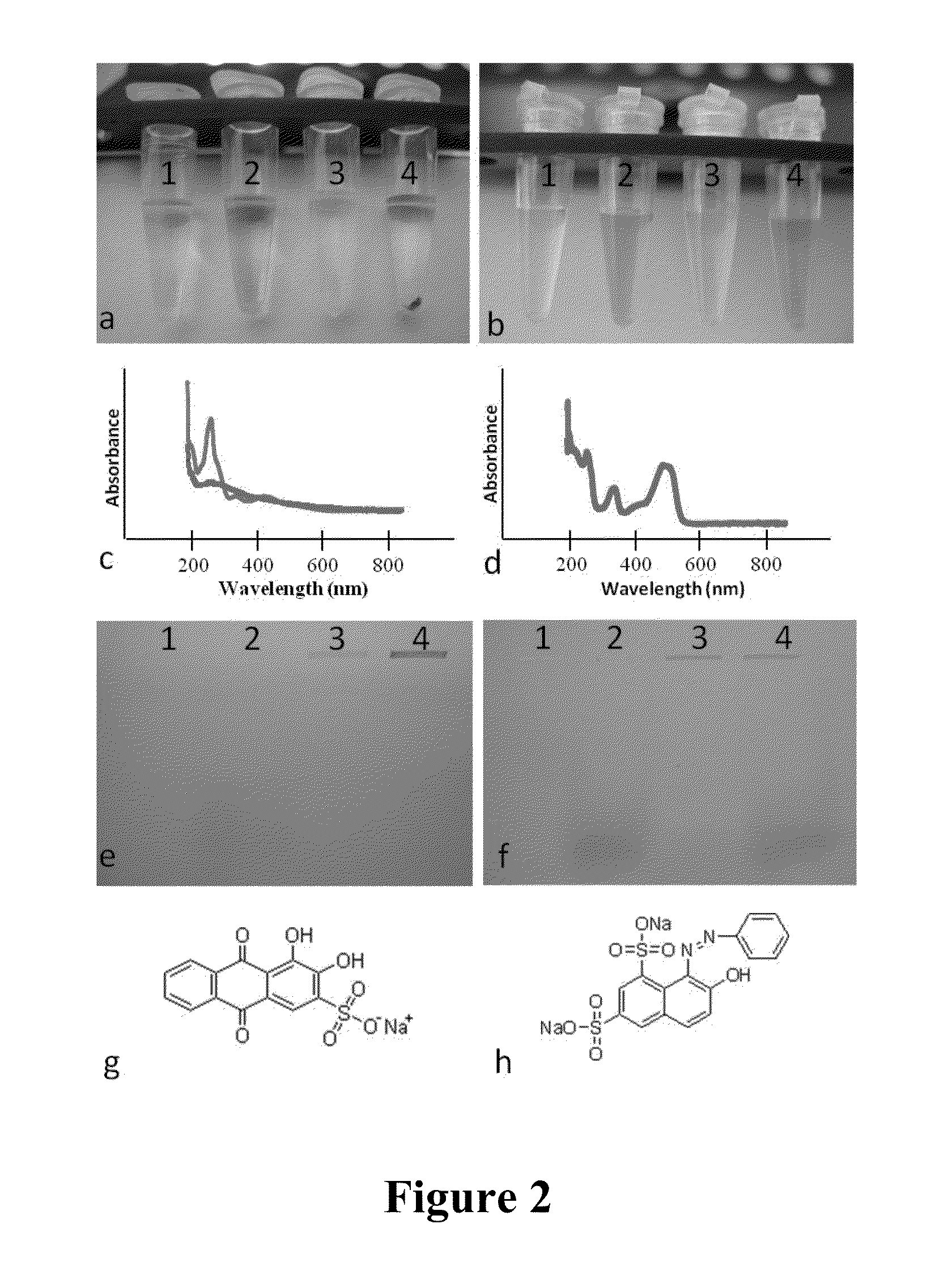 Multifunctional nanoconjugates and uses thereof