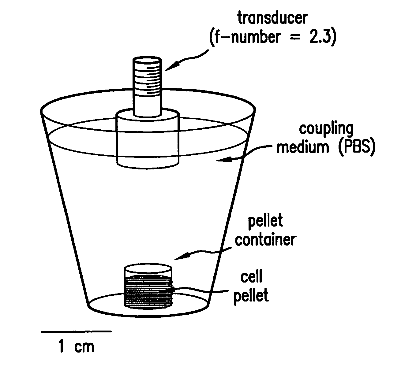 Methods of monitoring cellular death using low frequency ultrasound