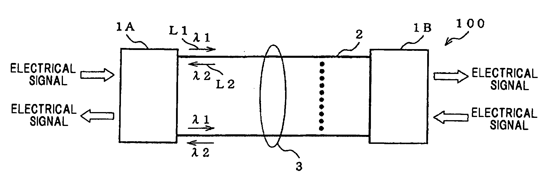 Optical transmission module and optical patch cable