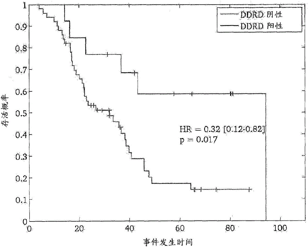 Molecular diagnostic test for oesophageal cancer