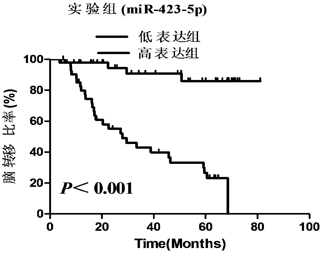 A molecular marker miR-423-5p for predicting lung cancer brain metastasis and applications thereof in medicines and a diagnostic kit