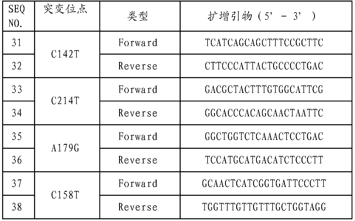 LIG3 (DNA (deoxyribonucleic acid) Ligase III) gene mutation detection specific primers and liquid chip