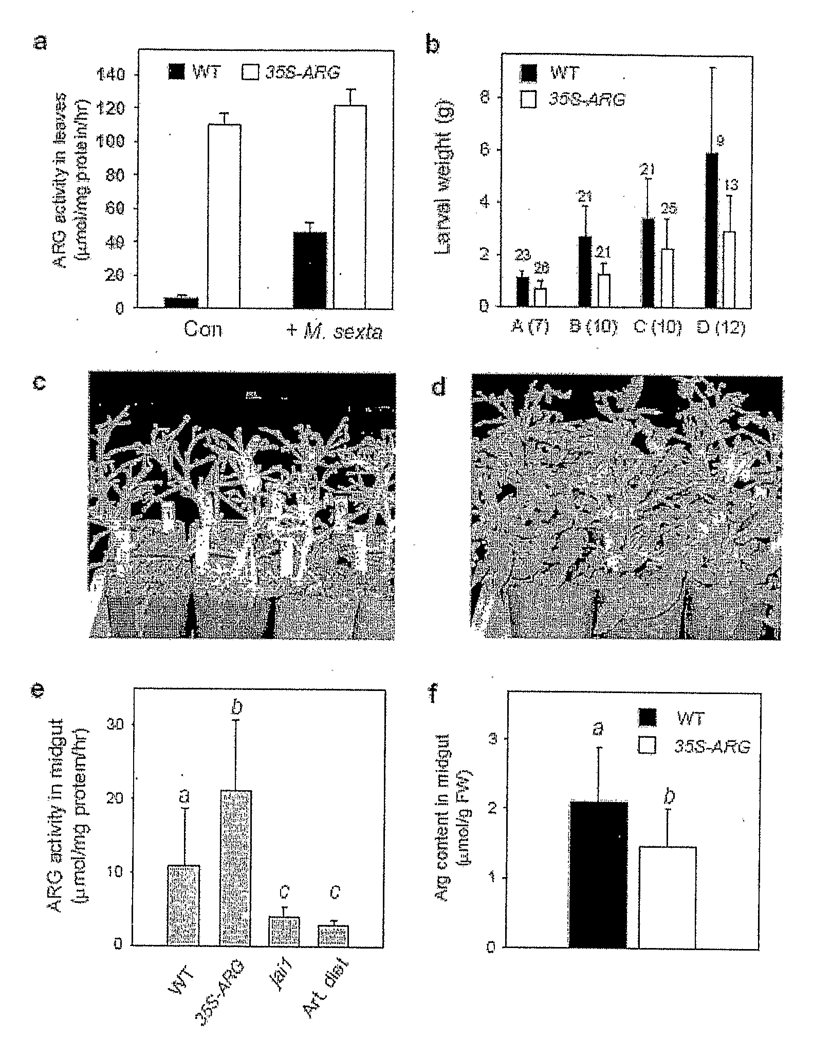 Protection against herbivores