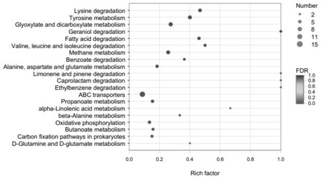 Application of cinnamyl aldehyde combined with ceftriaxone sodium