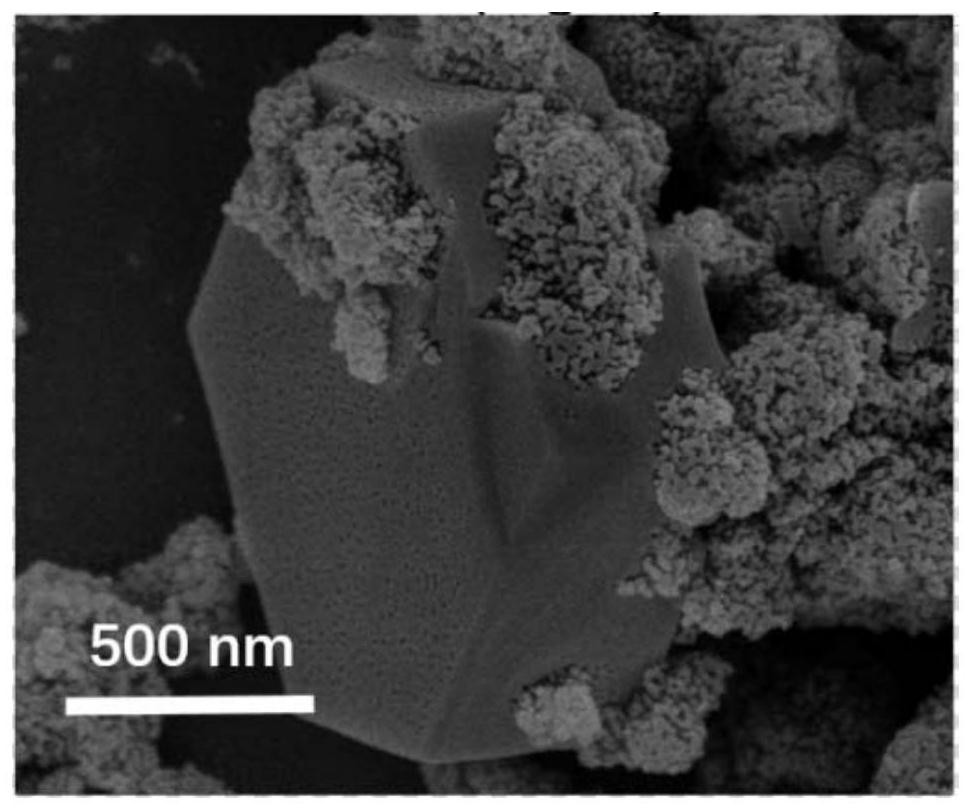 Cs3Bi2Br9/TiO2 perovskite heterojunction and preparation method thereof, and application of Cs3Bi2Br9/TiO2 perovskite heterojunction in photocatalytic toluene oxidation