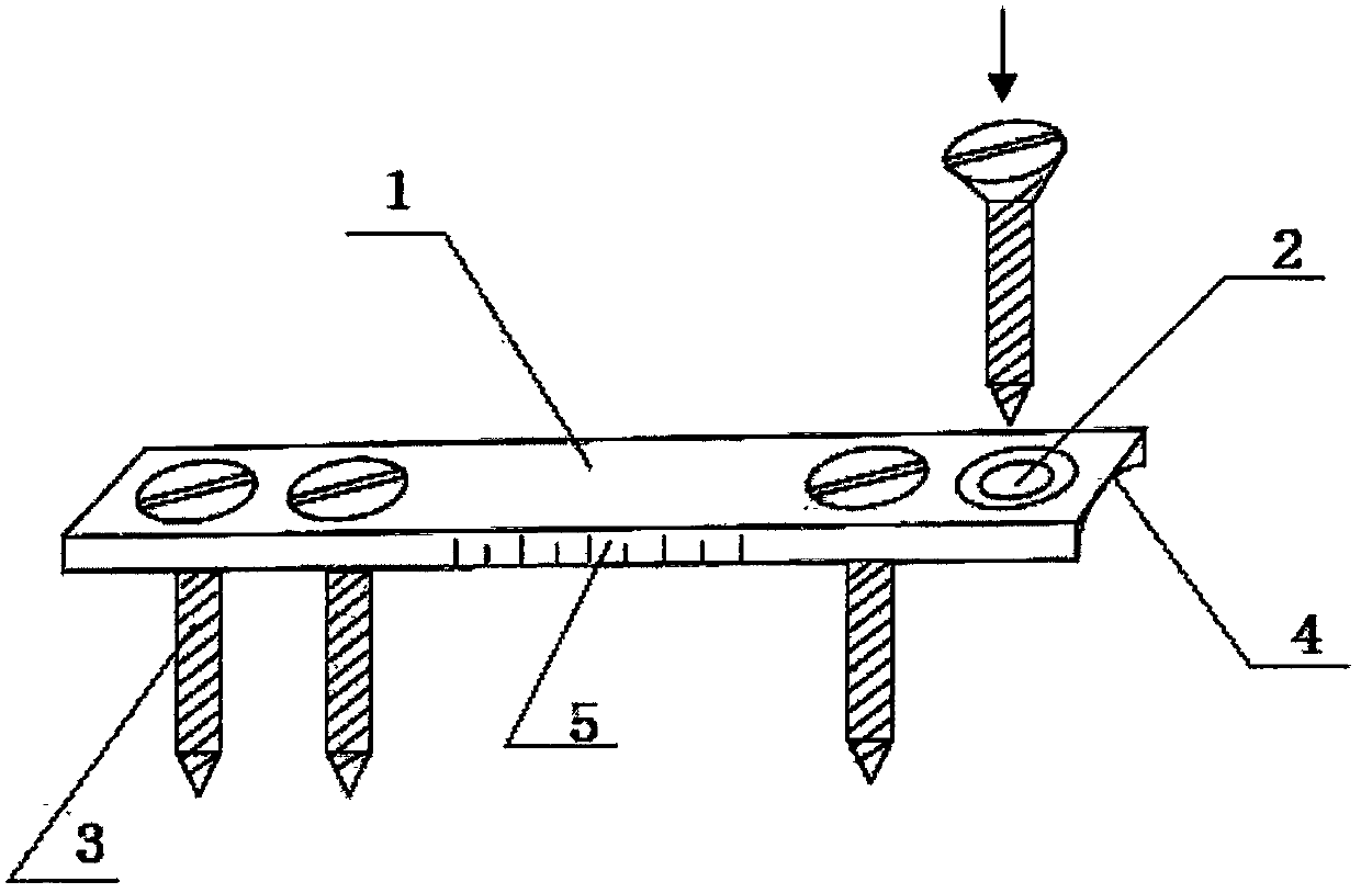 A mouse femoral bone defect model and its multifunctional fixation system