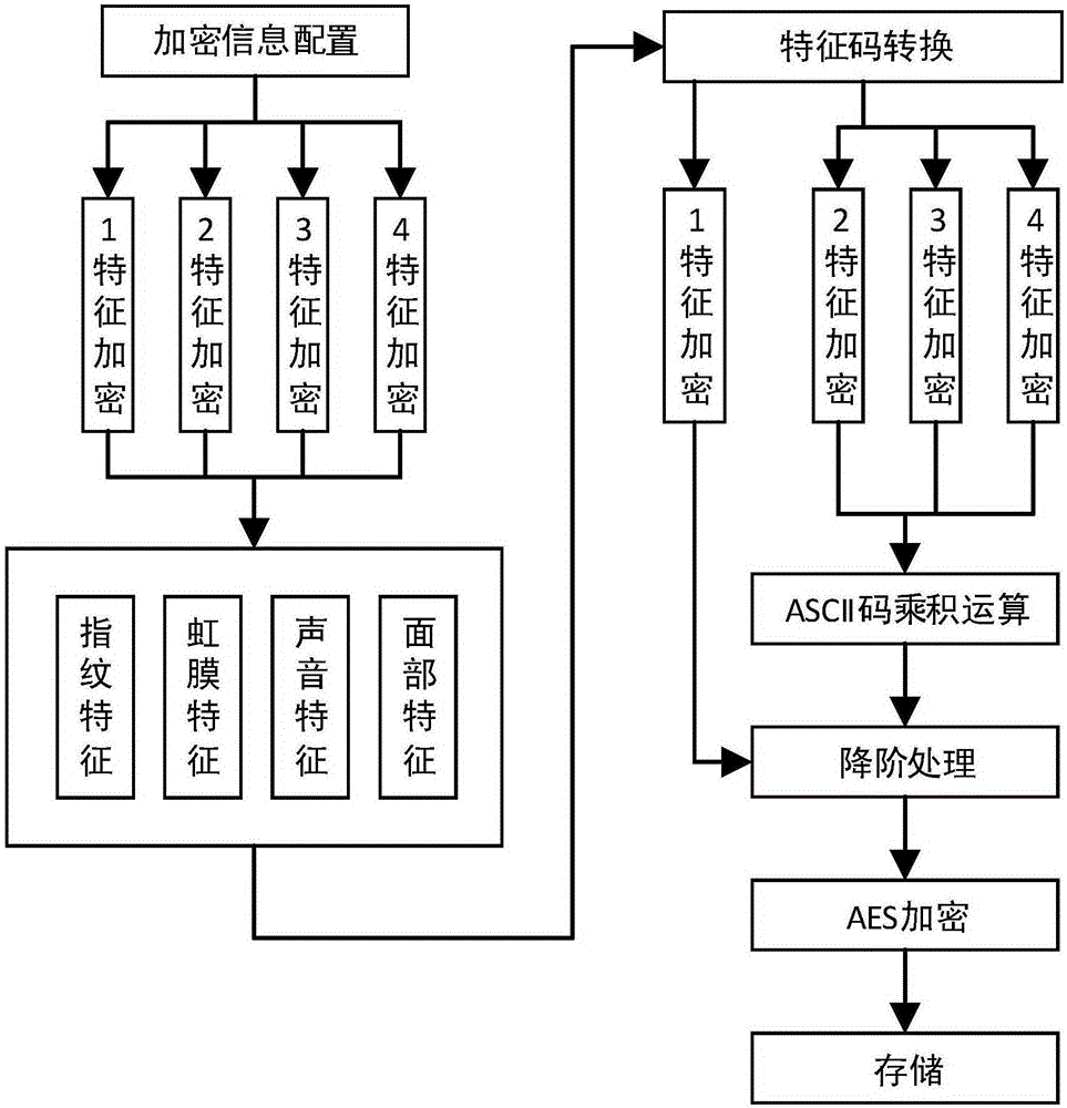 Insurance risk management and control method based on biometric identification technology