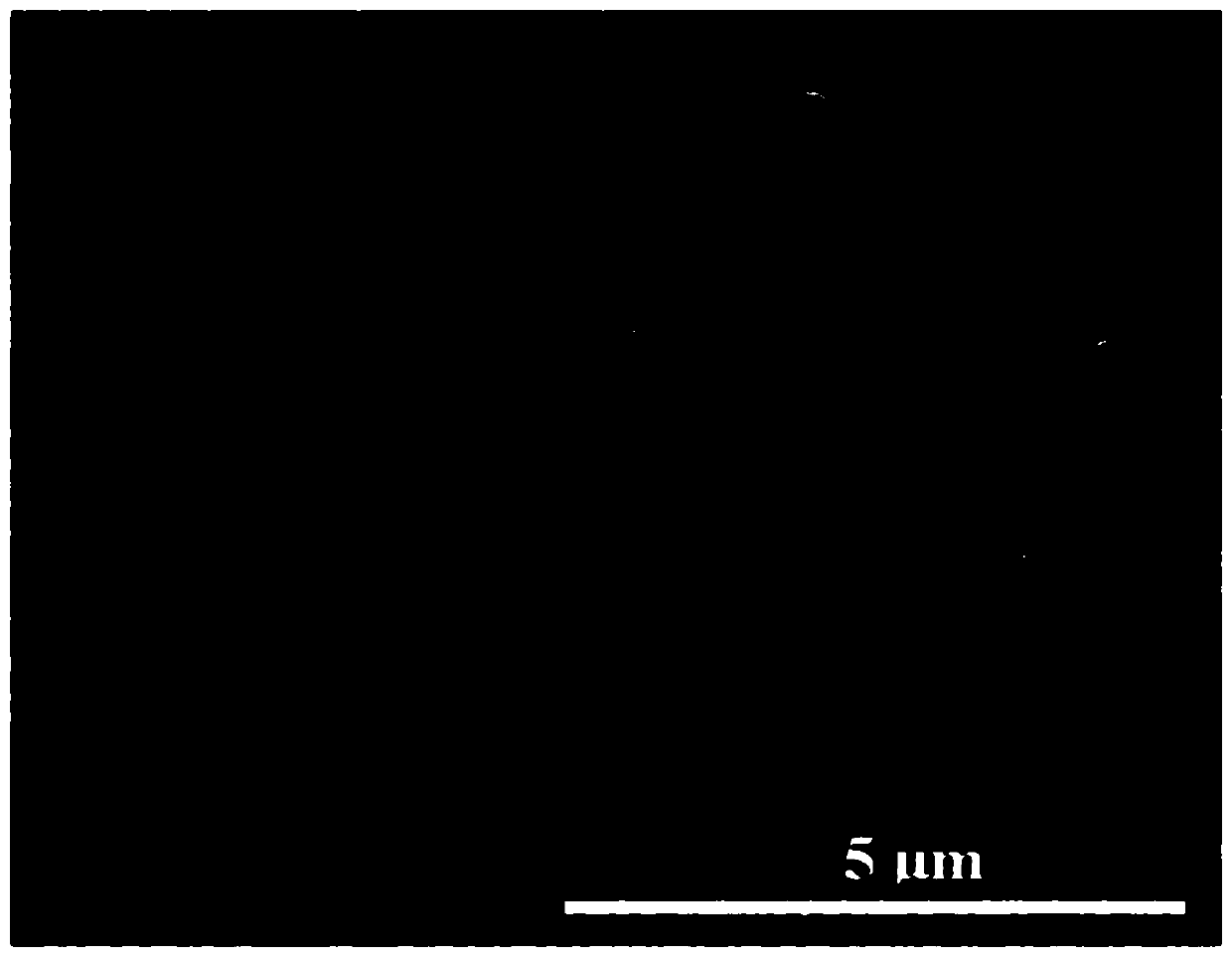 A kind of electrochemical enrichment culture method of anammox biofilm