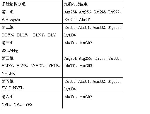 High-efficiency binding peptide in DNA binding region protein of FoxM1c and method for acquiring polypeptide structure sequence