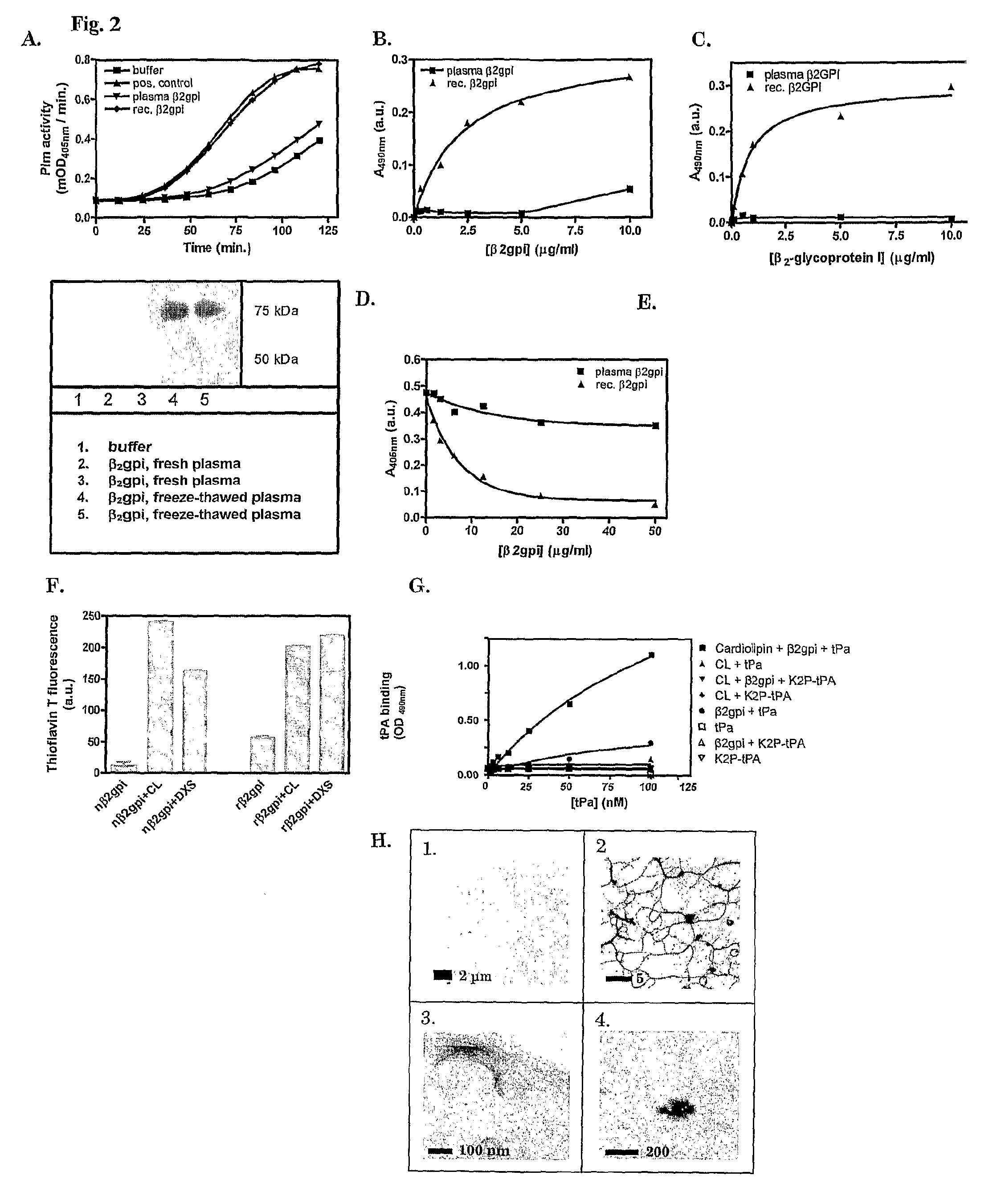Cross-β structure binding compounds