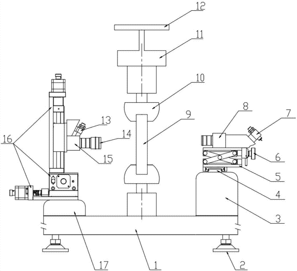 Overall-local combined sample deformation measurement device and method