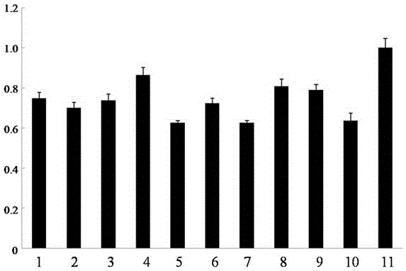 QPCR (quantitative polymerase chain reaction) primer for detecting NS2 genes of rice stripe viruses