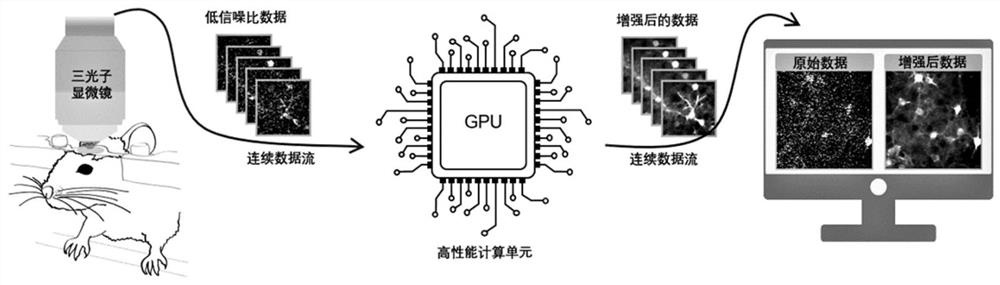 Three-photon deep tissue imaging method and device