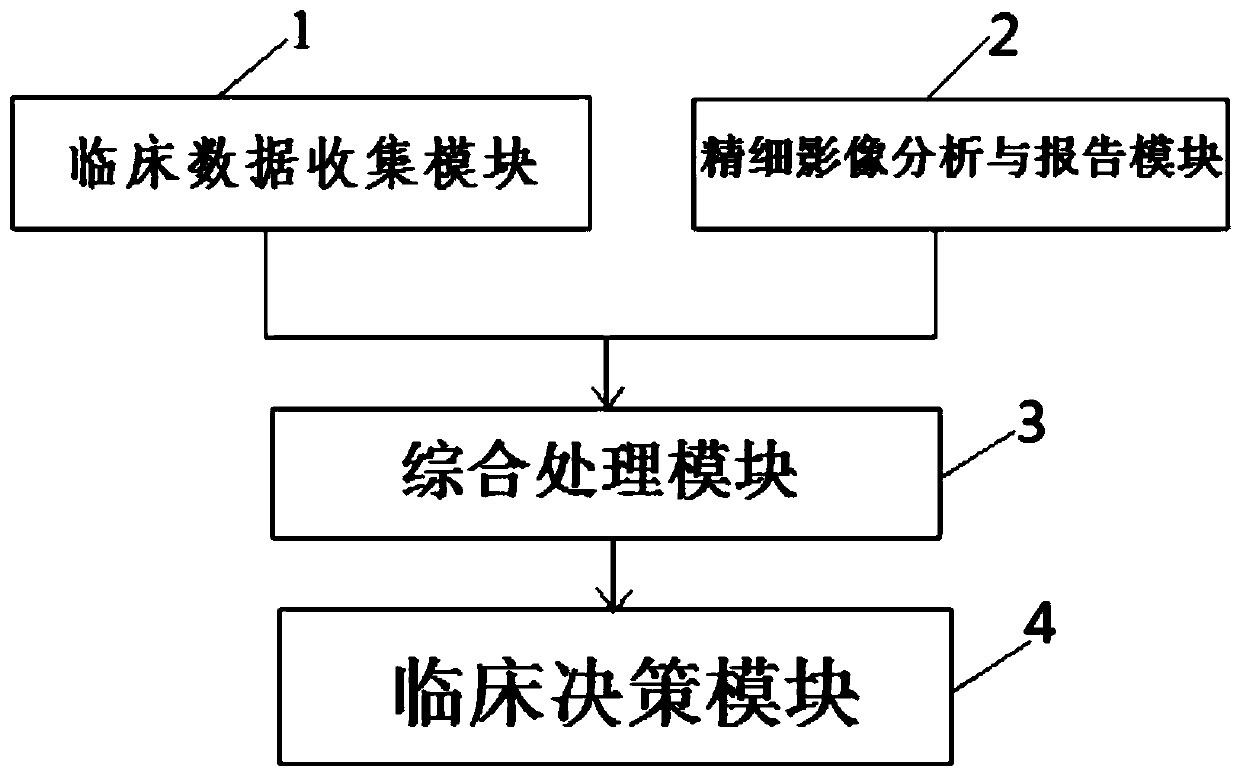 Nasopharyngeal carcinoma structured image report and data processing system and nasopharyngeal carcinoma structured image report and data processing method