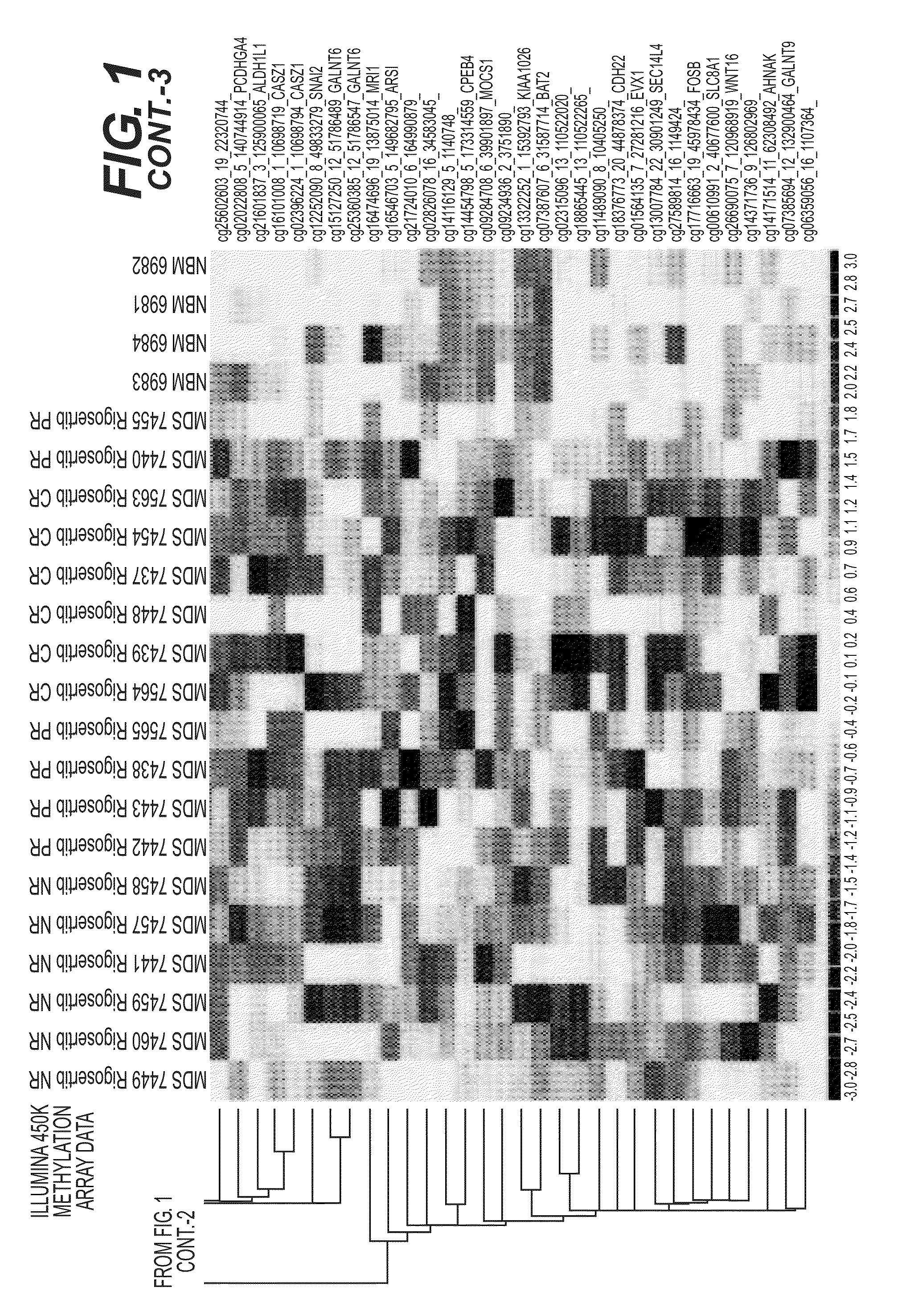 Methods and compositions for predicting therapeutic efficacy of kinase inhibitors in patients with myelodysplastic syndrome or related disorders