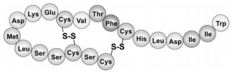 Immunogenic oligopeptide aiming at ETAR-RhoE pathway, vaccine of immunogenic oligopeptide and application of immunogenic oligopeptide in improvement of heart remodeling