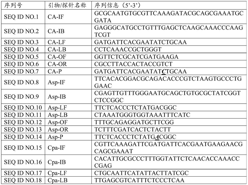 Kit for detecting fungal pathogens of respiratory tract infection at constant temperature by using enzyme digestion probes