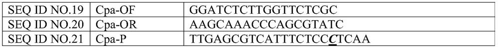 Kit for detecting fungal pathogens of respiratory tract infection at constant temperature by using enzyme digestion probes