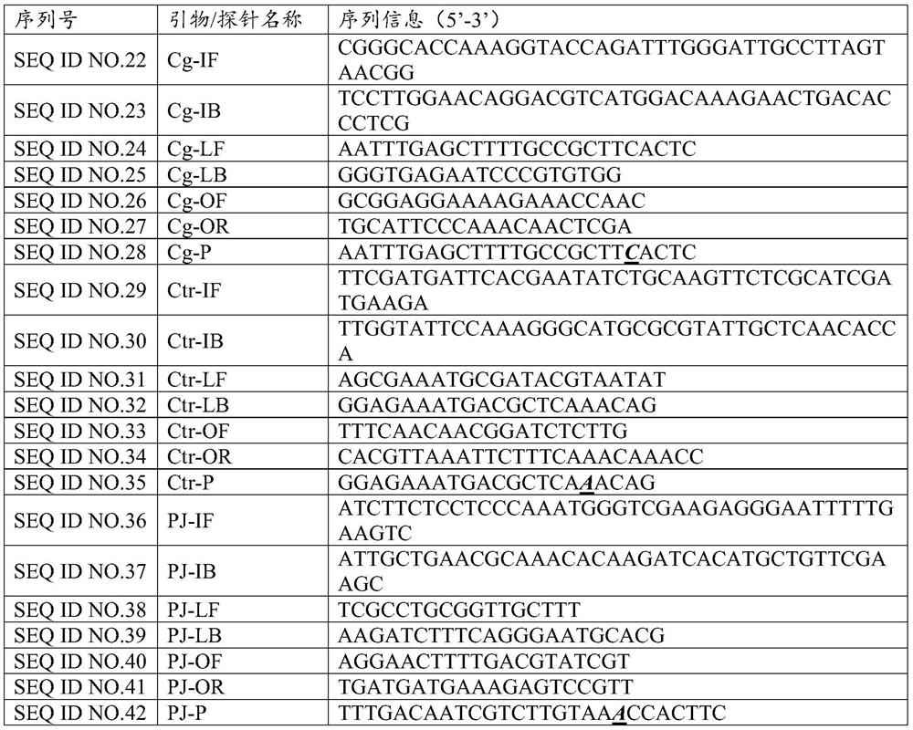 Kit for detecting fungal pathogens of respiratory tract infection at constant temperature by using enzyme digestion probes