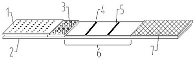 Brucella latex microsphere antibody detection card and preparation method thereof