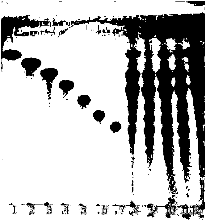 Method for identifying authenticity of honey