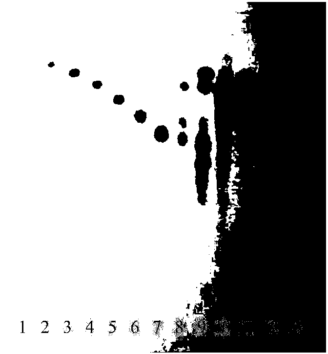 Method for identifying authenticity of honey