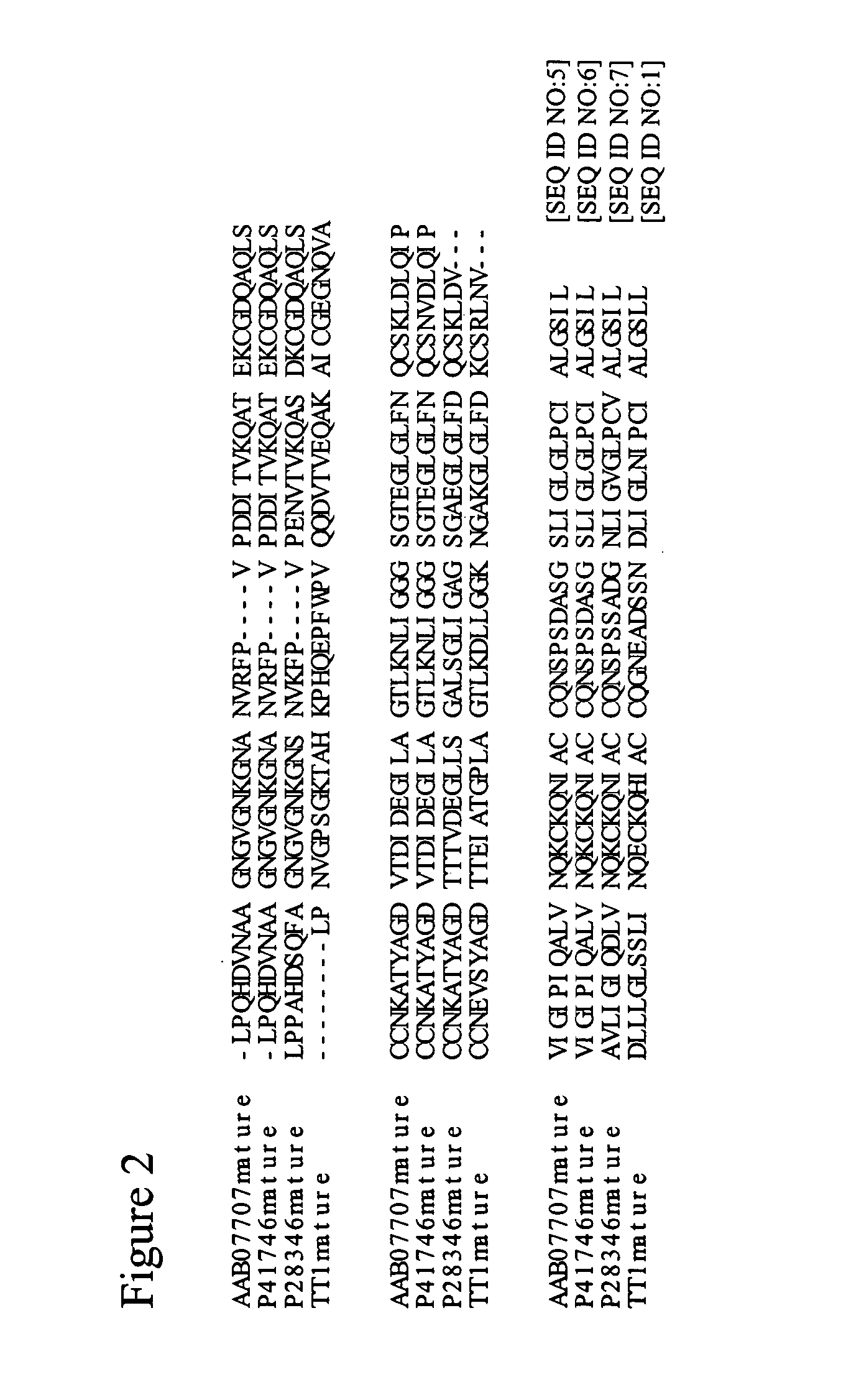 Thermophilic hydrophobin proteins and applications for surface modification