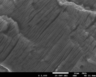 Hole extrusion strengthening method of aluminum alloy thick plate and lubricant for said method