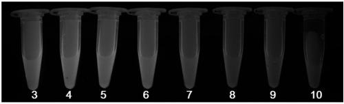 Rare-earth carbon nanoparticle, preparation method of rare-earth carbon nanoparticle and application for determining pH value based on fluorescence color scale