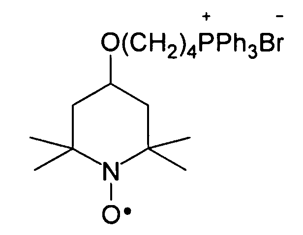 Neuroprotection by positively-charged nitroxides