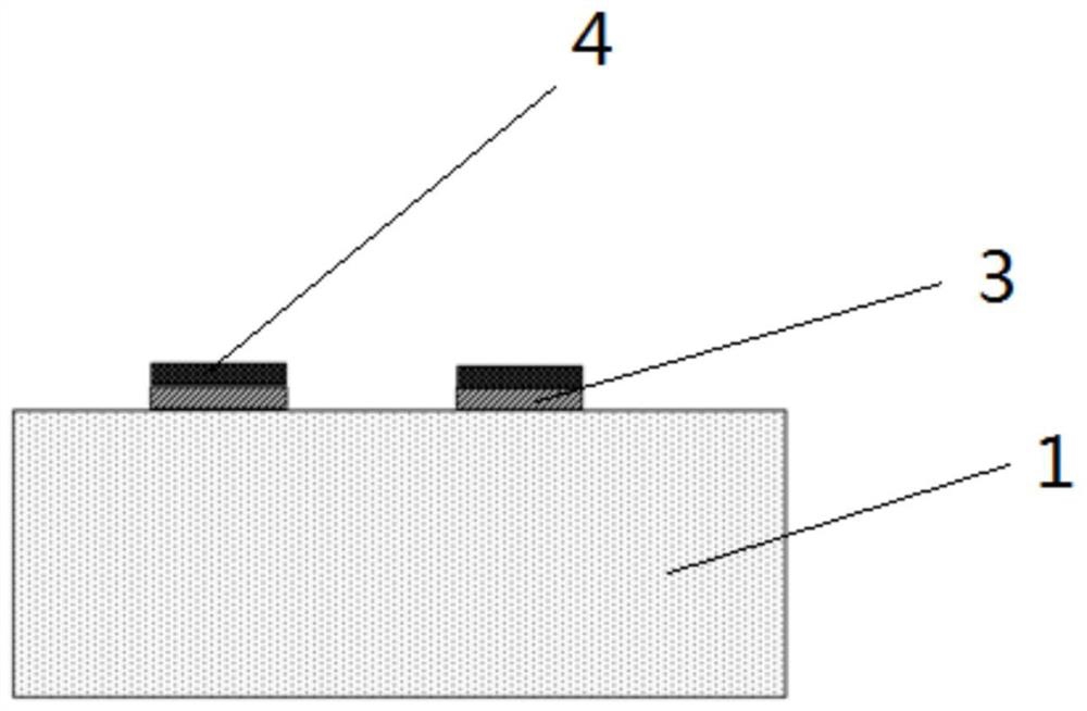 Lithium tantalate micro-patterning method based on reactive ion etching