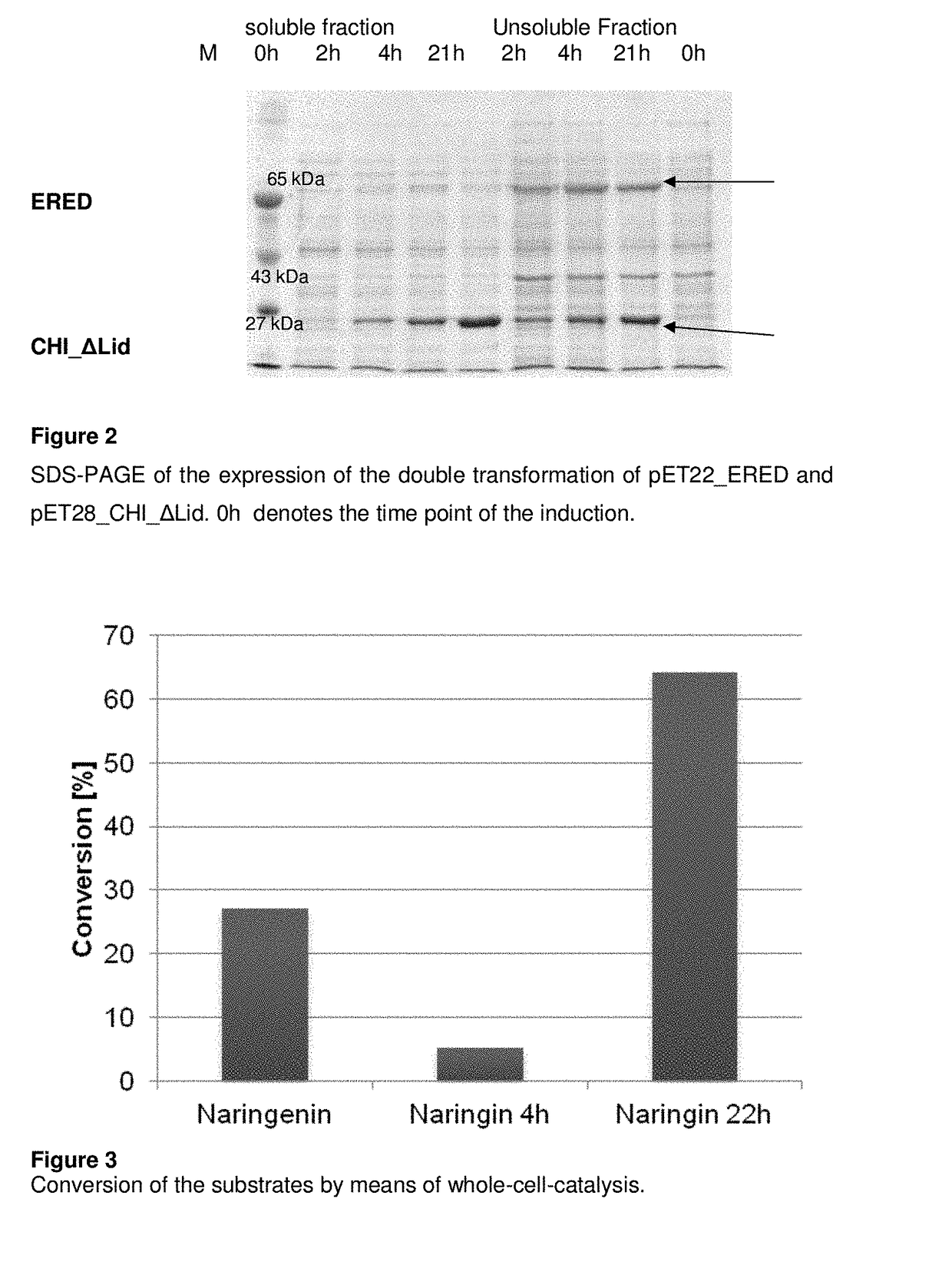 Method for the biotechnological production of flavone glycoside dihydrochalcones