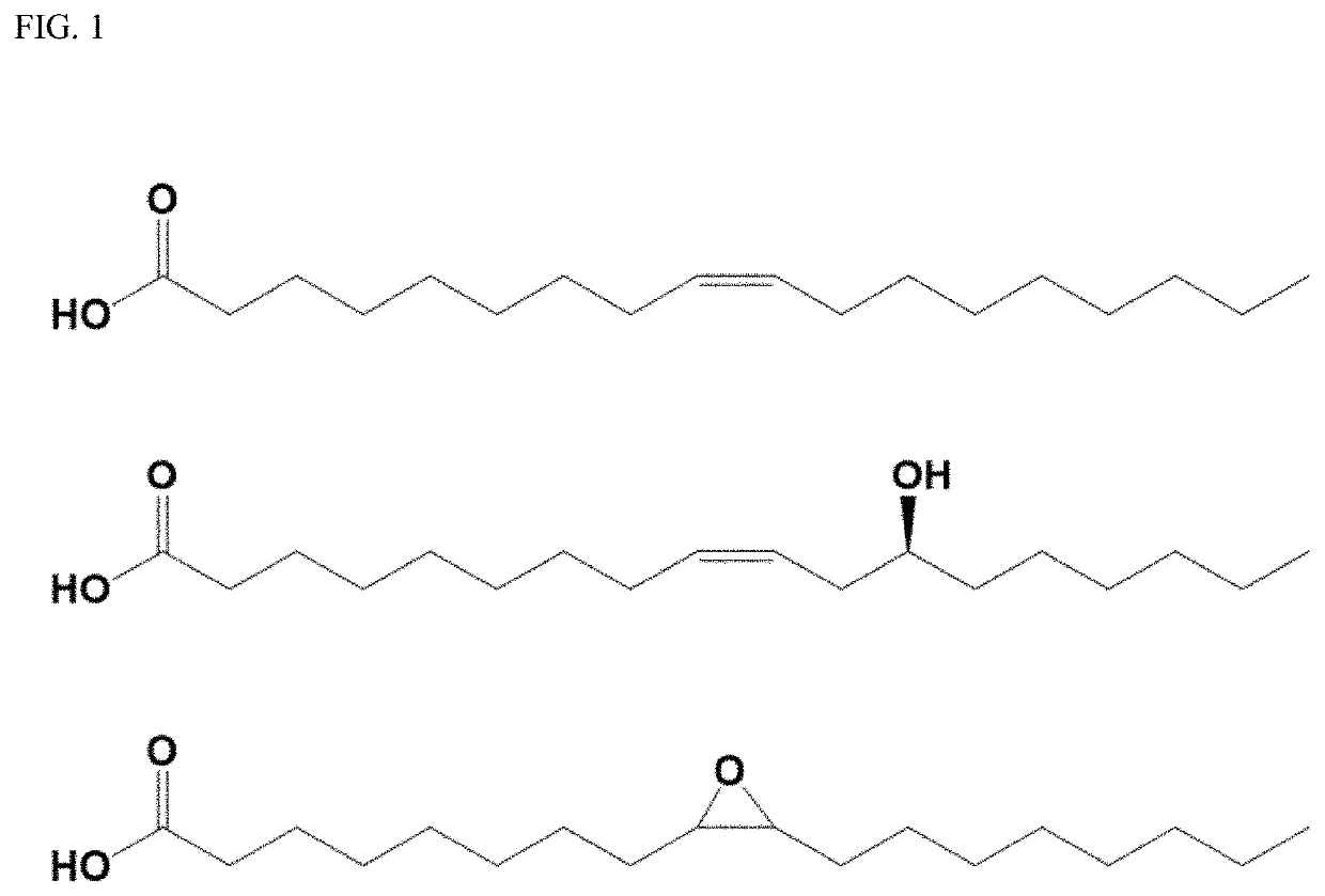 Bio-based branched estolide compounds