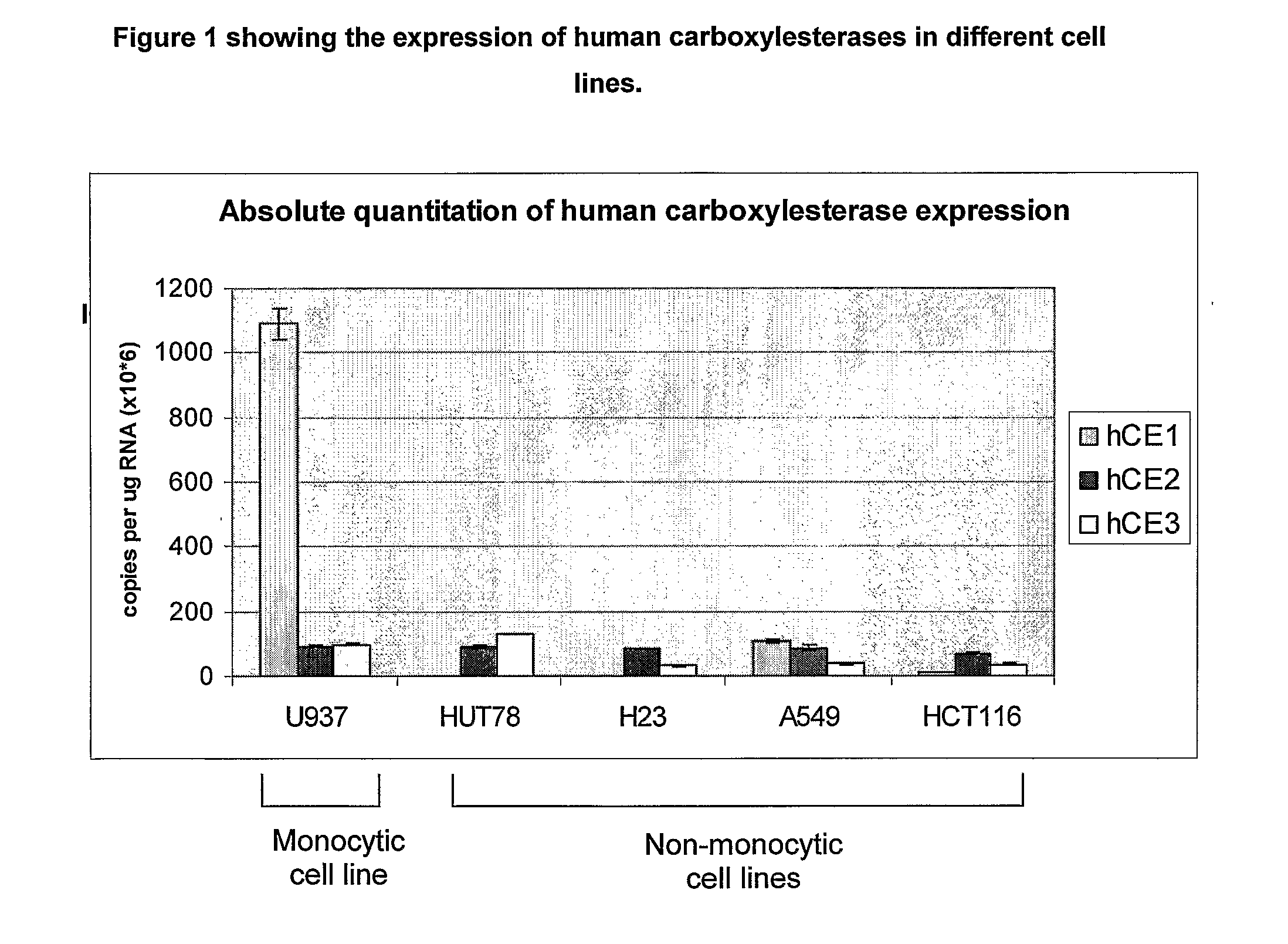 Enzyme and Receptor Modulation