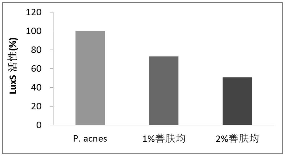 A kind of anti-acne concentrate and its application